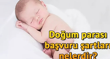 Milletin Habercisi 2022 - 2022 doğum parası, doğum yardımı ne kadar? 2022 çocuk parası ücreti, emzirme ödeneği miktarı...