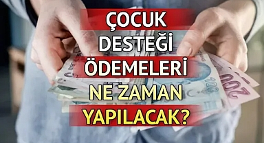 Milletin Habercisi 2022 - Çocuk desteği kimlere verilecek, başvuru nasıl yapılır? Çocuk yardımı ne kadar?