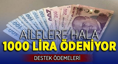 Milletin Habercisi 2022 - Devletten ev hanımlarına 1.000 TL nakit para! 2 ayda bir verilecek! TC kimlikle gidip PTT'den alabilirsiniz!