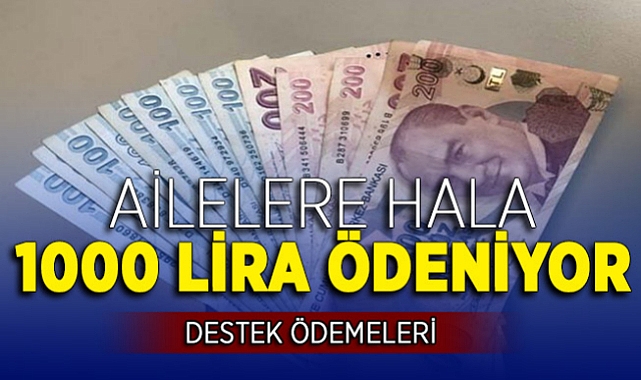Milletin Habercisi 2022 - Devletten ev hanımlarına 1.000 TL nakit para! 2 ayda bir verilecek! TC kimlikle gidip PTT'den alabilirsiniz!