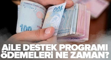 Milletin Habercisi 2022 - Sosyal yardım paraları ne zaman yatacak? 2022 Aralık ayı Aile Destek Programı ödemeleri ne zaman verilecek?.