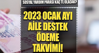 Aile destek ödemeleri ne zaman yatacak, ocak ödemeleri yattı mı? Aile destek ödemeleri ne kadar, kaç TL?