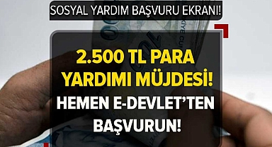 2.500 TL'ye kadar hane başına para yardımı! Ödemeler arttı! e-Devlet'ten başvuran PTT'den nakit çekebilecek! İşte başvuru ekranı.