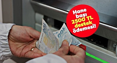 e-Devlet'ten başvuran PTT'den nakit çekebilecek! Ödemeler arttı! 2.500 TL'ye kadar hane başına para yardımı! İşte başvuru ekranı.