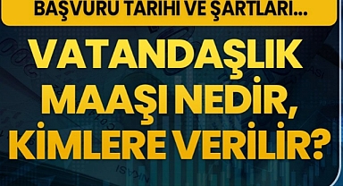 Vatandaşlık maaşı başvuruları başladı! Başvurusu nasıl yapılır? Kimlere verilecek, şartlar neler?