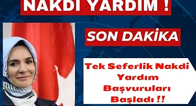 Aile ve Sosyal Hizmetler Bakanlığı'ndan tek seferlik yardım, başvurular e-Devlet platformu üzerinden alınacak
