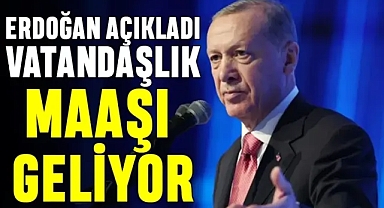 Vatandaşlık Maaşı Sistemi Netleşiyor: Dar Gelirlilere 22.104 TL Destek Yolda